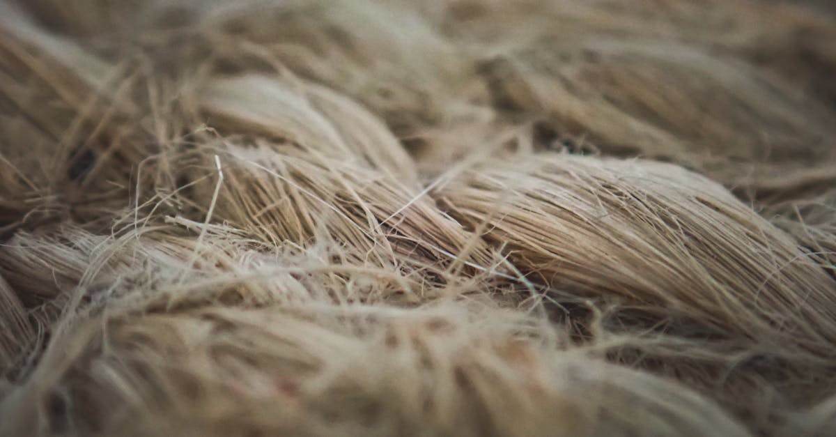 découvrez pure fiber, la solution innovante pour une connexion internet ultra-rapide et fiable grâce à la fibre optique de haute qualité.