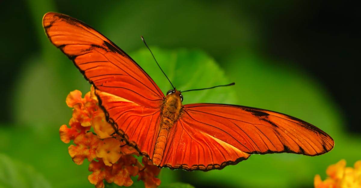 découvrez tout sur la transformation : processus, techniques et impact dans divers domaines pour améliorer et évoluer efficacement.