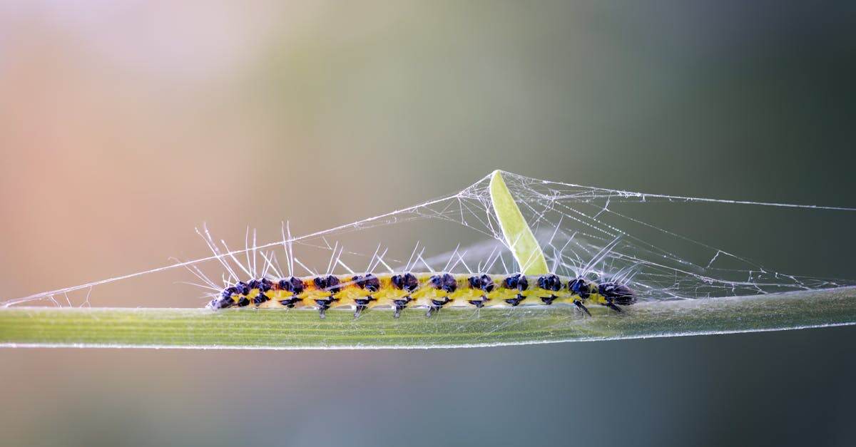 découvrez tout sur la transformation : processus, méthodes et impacts pour évoluer avec succès dans un monde en constante évolution.