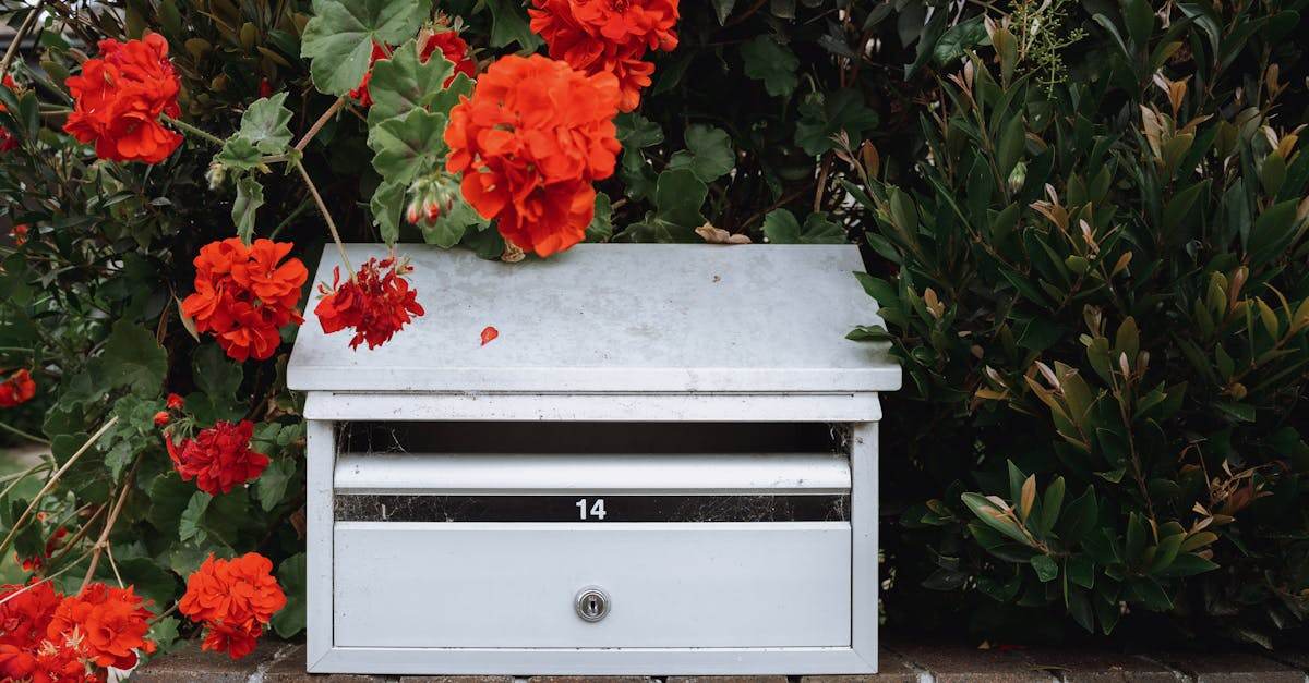 désabonnez-vous facilement de nos communications pour ne plus recevoir d'e-mails indésirables.