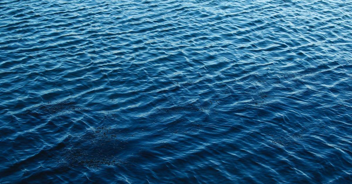 découvrez veolia water, leader mondial de la gestion durable de l'eau, offrant des solutions innovantes pour préserver cette ressource essentielle.