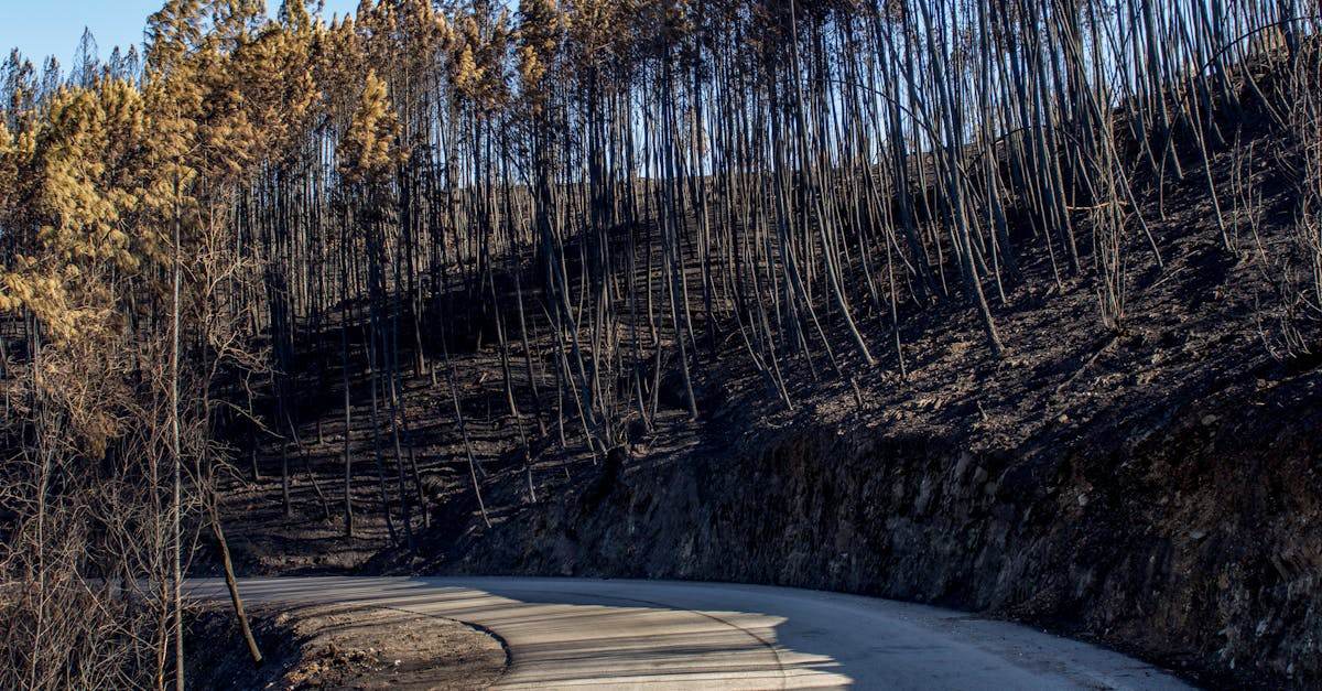 récupération de données pour téléphone endommagé par l'eau : solutions efficaces pour restaurer vos fichiers et retrouver un appareil fonctionnel rapidement.