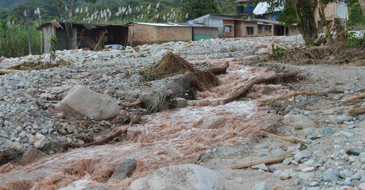 récupération de données sur téléphone endommagé par l'eau : solutions efficaces pour restaurer vos fichiers et contacts après un dégât des eaux.