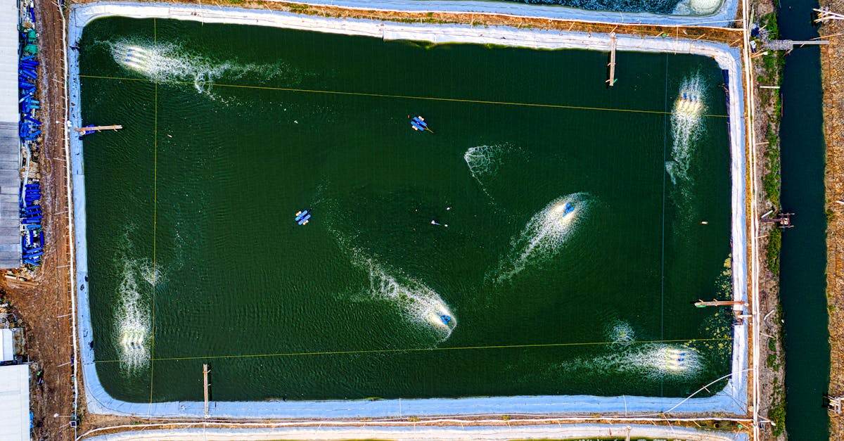 découvrez les meilleures pratiques de gestion de l'eau pour optimiser les ressources, réduire les pertes et assurer un approvisionnement durable.