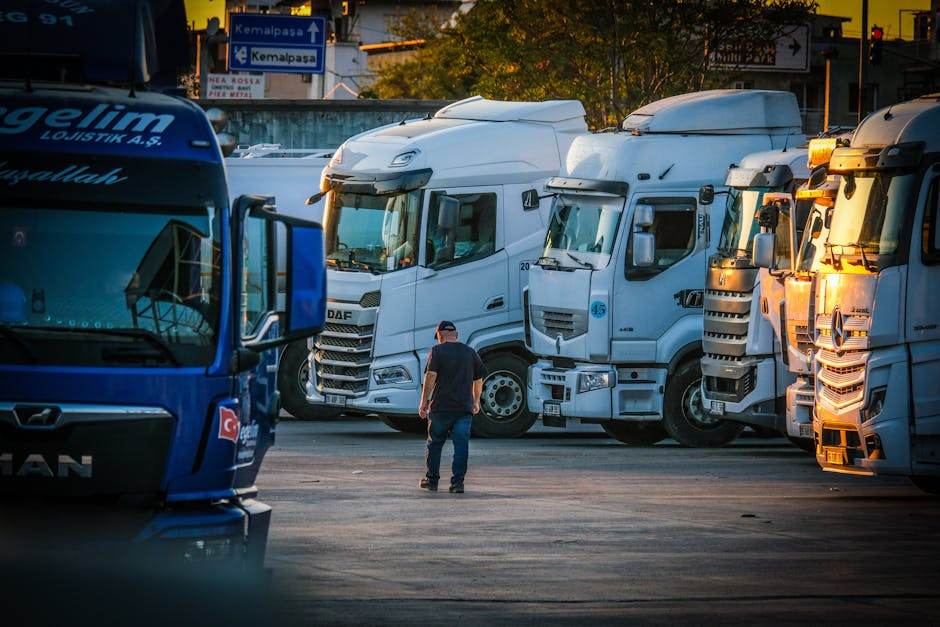 Fleet of company cars parked in a row for long-term rental and business use