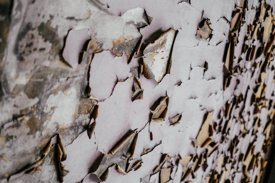 Damaged wall with small holes and paint wear illustrating rental wear versus damage