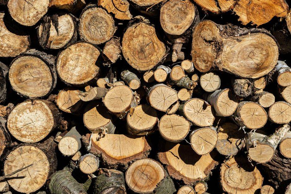 Stacked firewood drying under a ventilated outdoor shelter