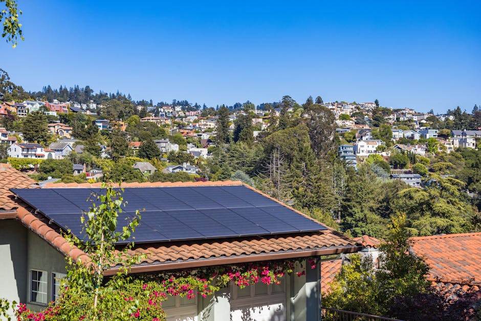Solar panels in the afternoon sunlight