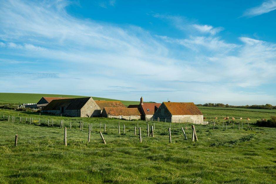 Agricultural biogas plant with gas storage tanks in a rural landscape