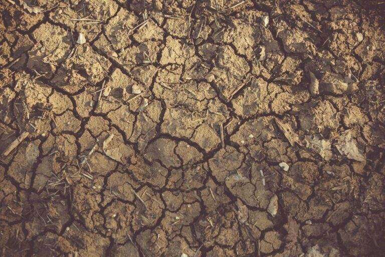 La France vue du ciel : pourquoi le vert recule en 2026 Close-up of cracked, arid soil showing detailed textures and patterns, indicative of drought conditions.