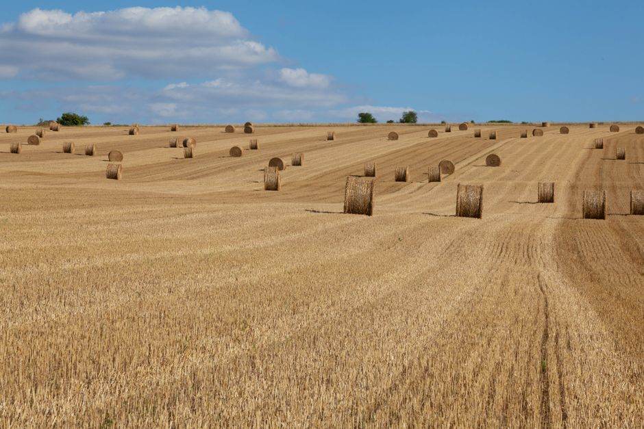 Golden hay bales dot a vast rural field under a clear summer sky at La Roche-Guyon, France.