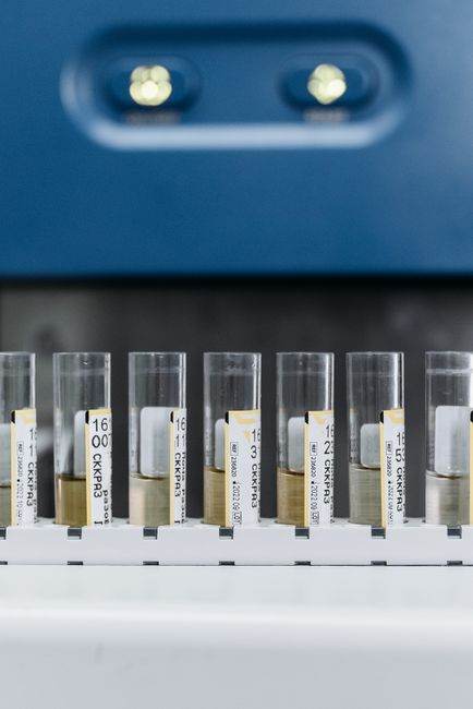 Detailed view of test tubes in a laboratory for scientific analysis.